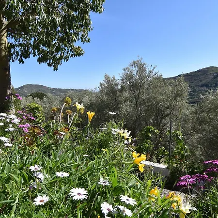 El Corinto -the Enchanted Place בית נופש Cómpeta